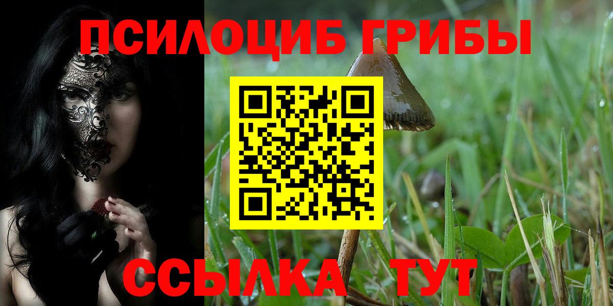 Галлюциногенные грибы Psilocybine cubensis Аша
