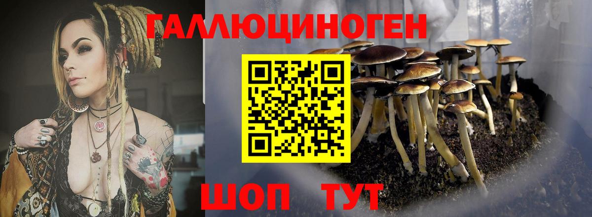 Галлюциногенные грибы мицелий  Аша  Псилоцибиновые грибы Cubensis 