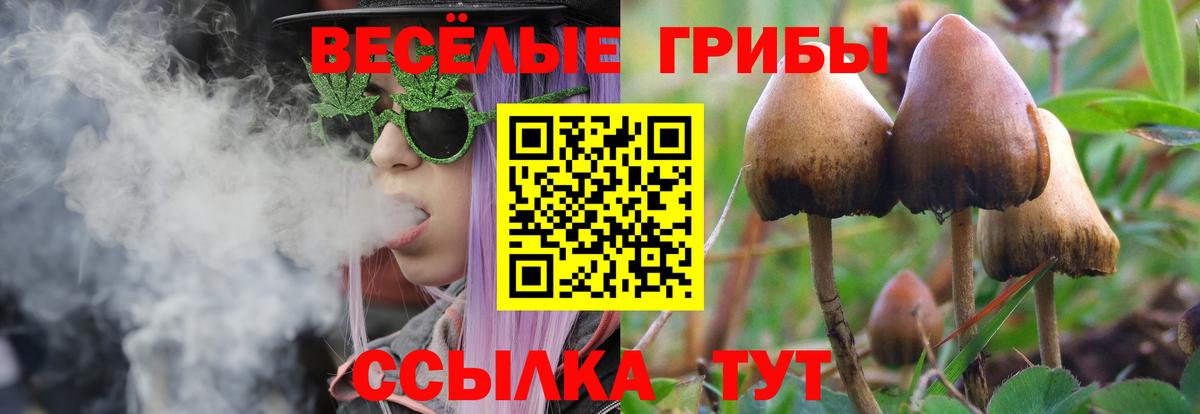 купить наркотики цена  Галлюциногенные грибы мухоморы  Аша  Вход с VPN  Псилоцибиновые грибы мухоморы 